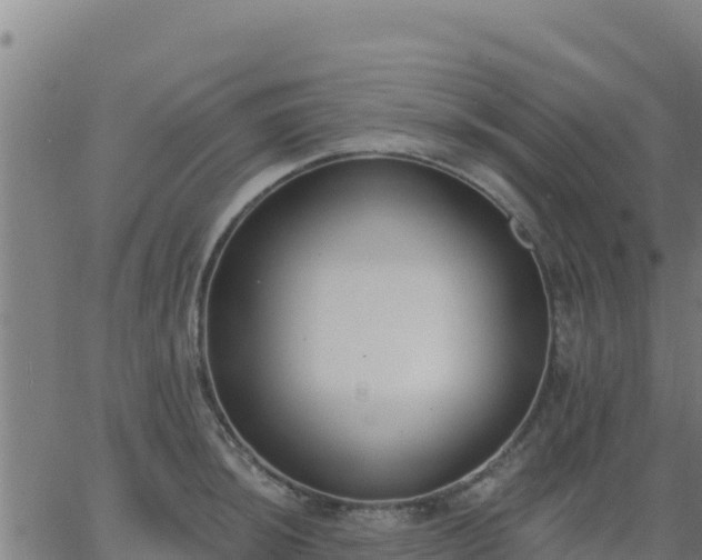 X0000062841044200601201633