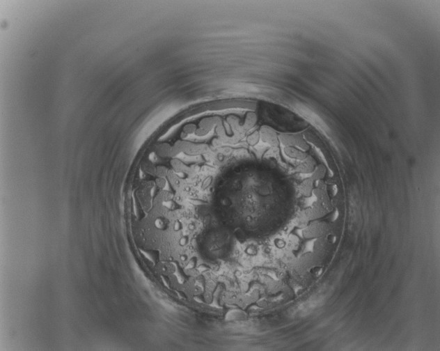 X0000062841047200601201633