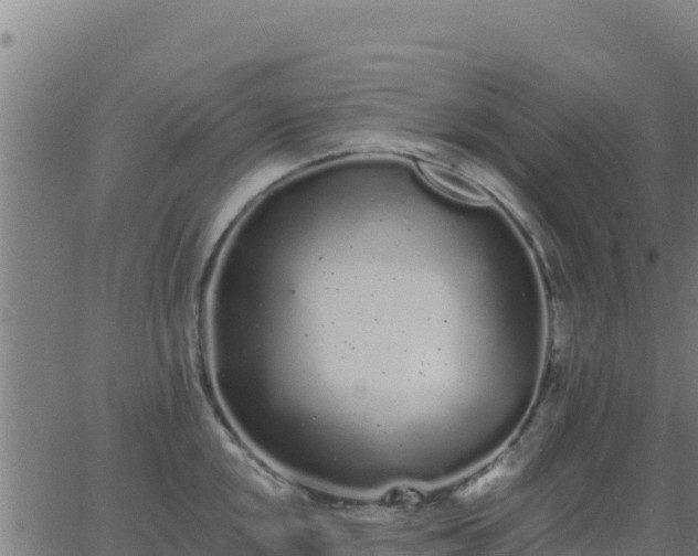 X0000062841048200601201633