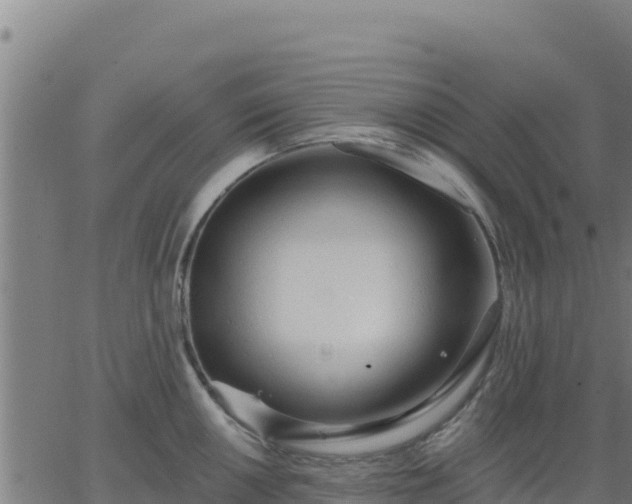 X0000062841050200601201633