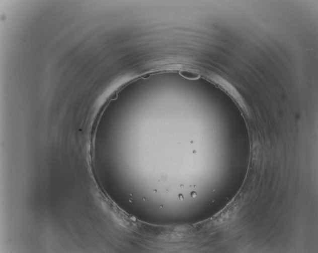 X0000062841051200601201633