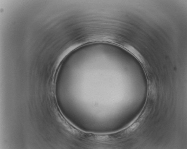 X0000062841052200601201633