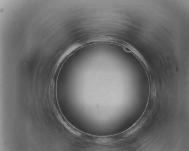 X0000062841053200601201633