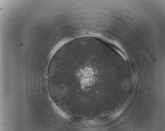 X0000062841054200601201633