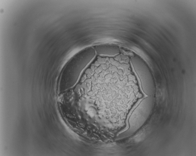 X0000062841055200601201633