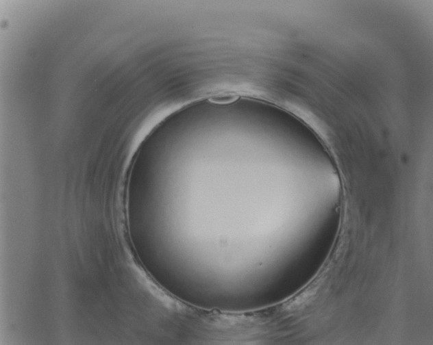 X0000062841056200601201633