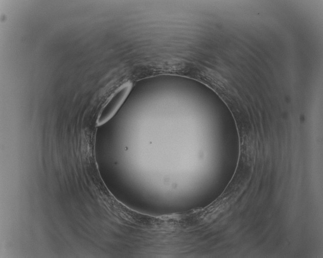 X0000062841058200601201632