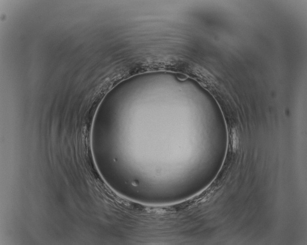 X0000062841059200601201632