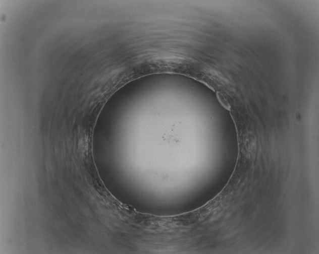 X0000062841061200601201632