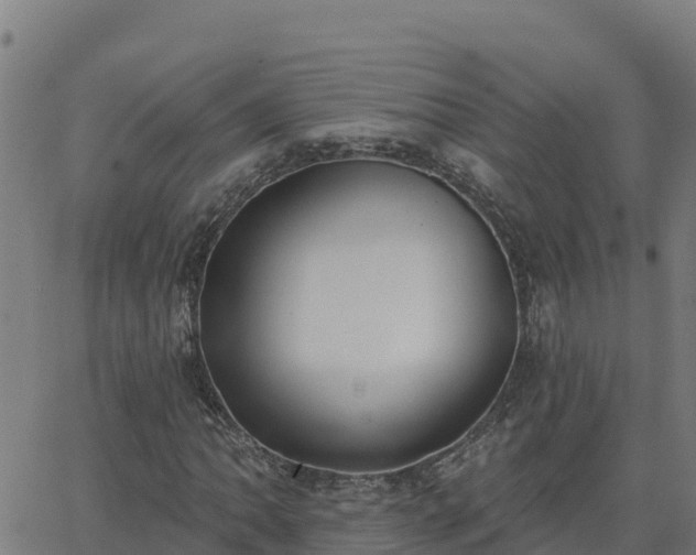 X0000062841062200601201632