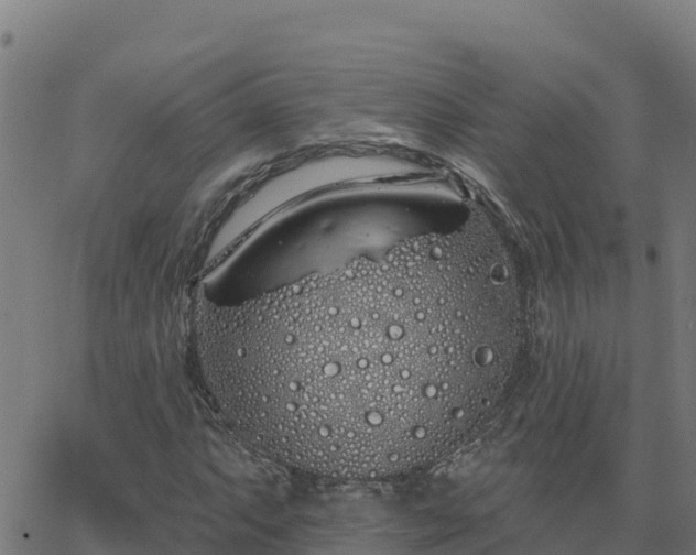 X0000062841063200601201632