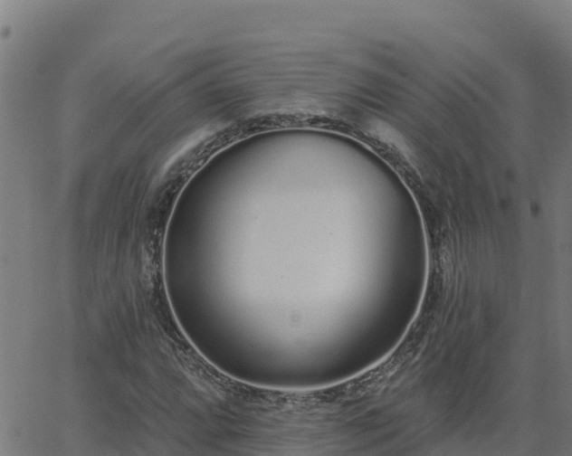 X0000062841064200601201632