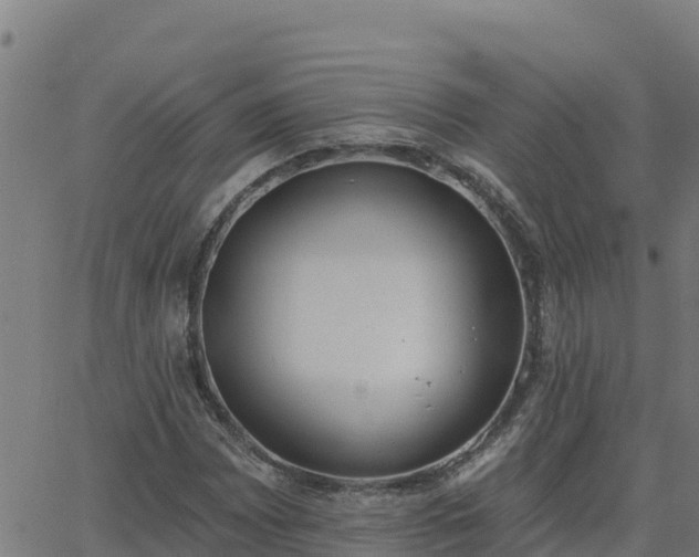 X0000062841065200601201632