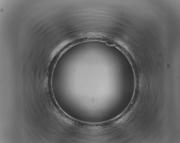 X0000062841066200601201632