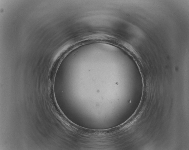 X0000062841067200601201632