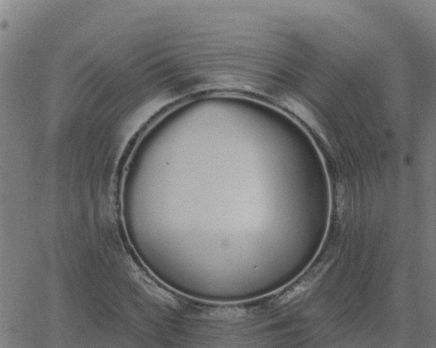 X0000062841068200601201632