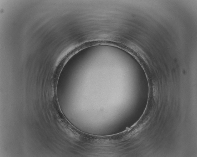 X0000062841069200601201632