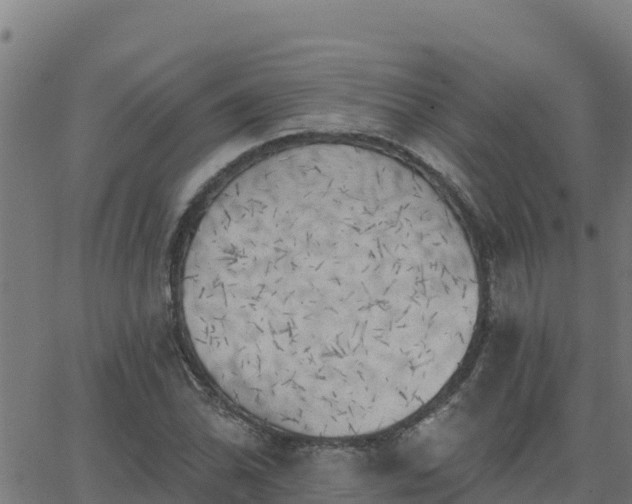 X0000062841070200601201632