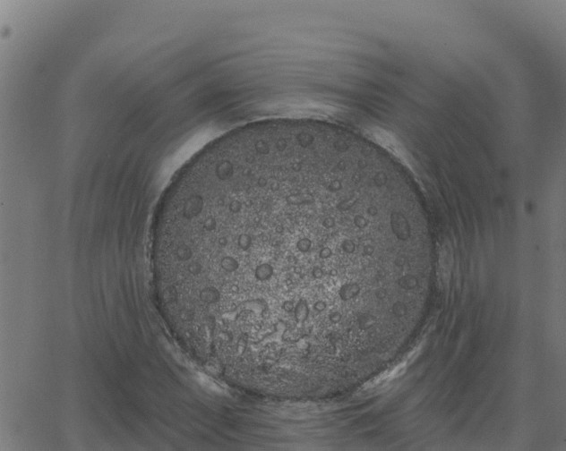 X0000062841071200601201632