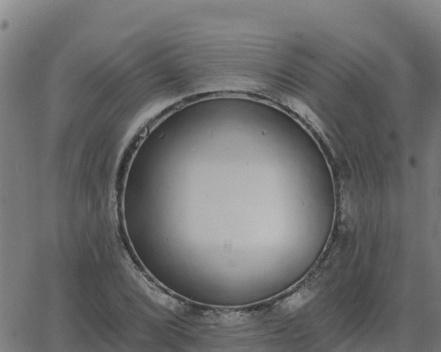 X0000062841072200601201632