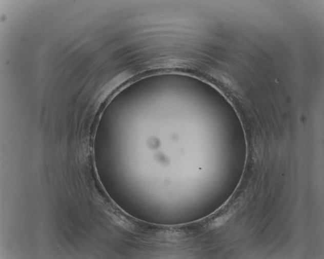 X0000062841073200601201632