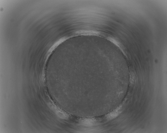 X0000062841074200601201632