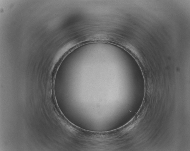 X0000062841075200601201632