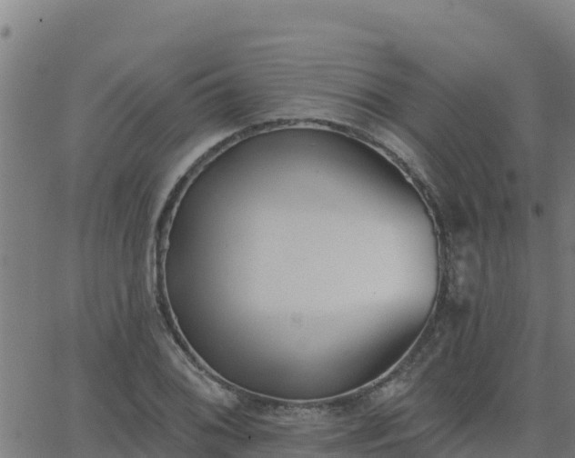 X0000062841076200601201632