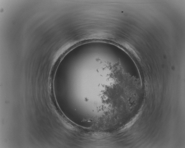 X0000062841077200601201632