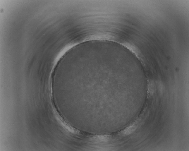 X0000062841078200601201632