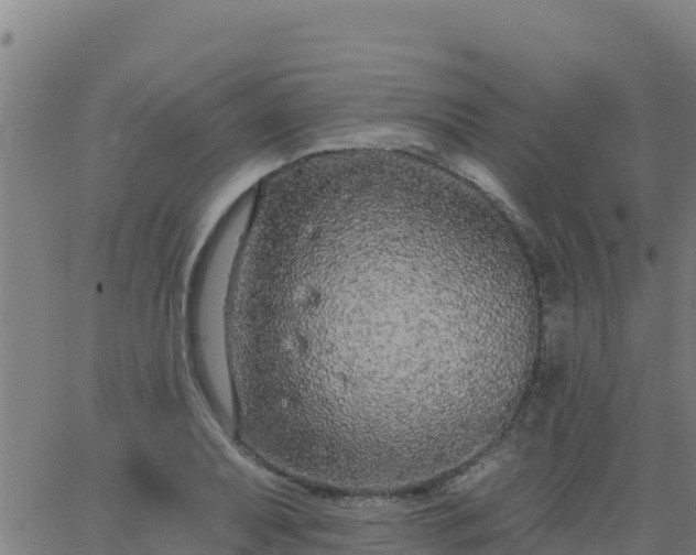 X0000062841079200601201632