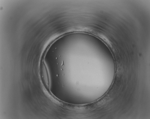 X0000062841080200601201632