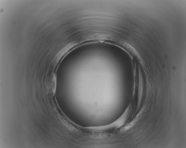 X0000062841081200601201632