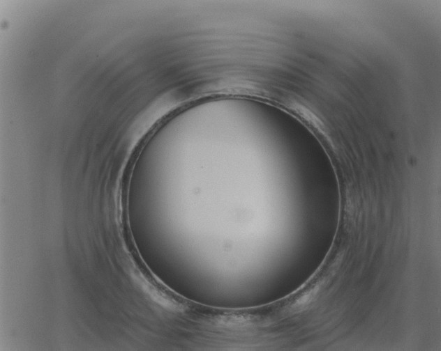 X0000062841082200601201632