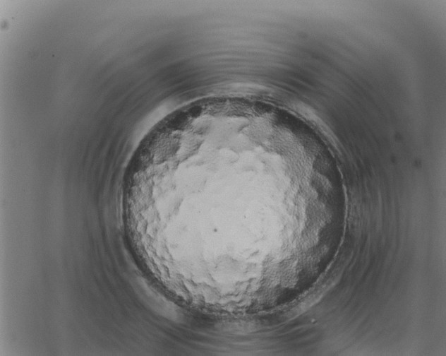 X0000062841083200601201632