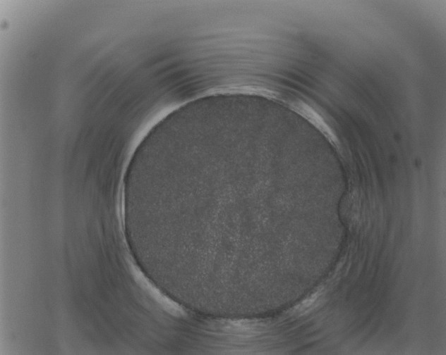 X0000062841084200601201632