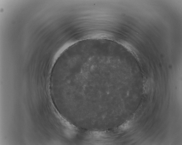 X0000062841086200601201632