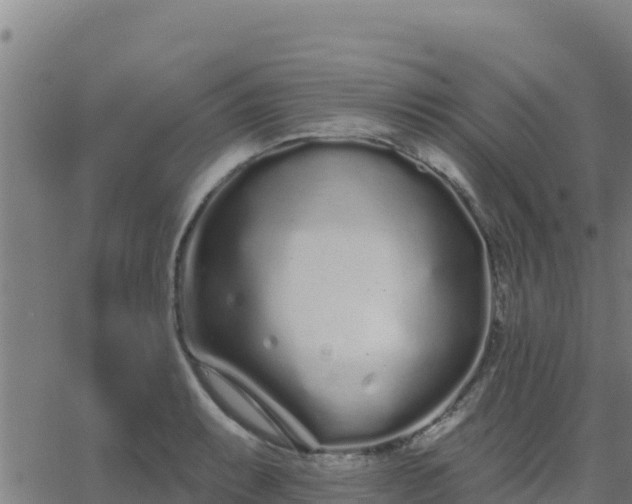 X0000062841087200601201632