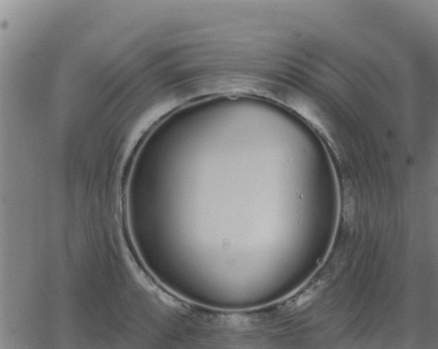 X0000062841088200601201632