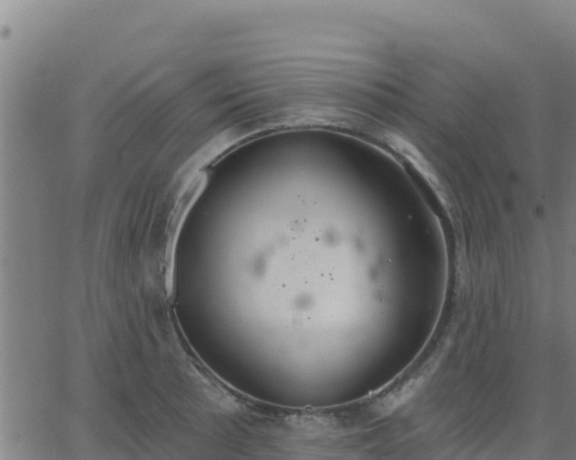 X0000062841089200601201632