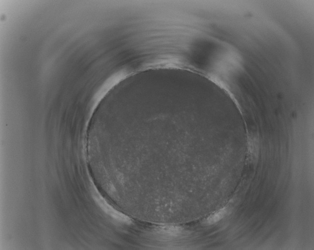 X0000062841090200601201632