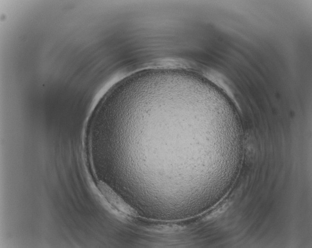 X0000062841091200601201632