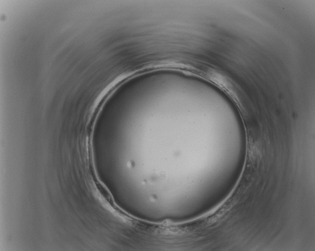 X0000062841092200601201632