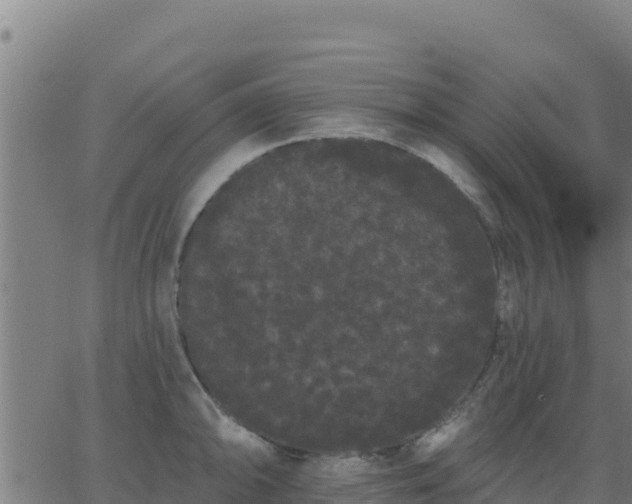 X0000062841094200601201632