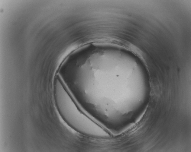 X0000062841095200601201632