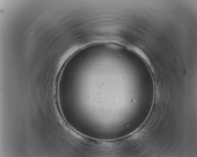 X0000062841096200601201632