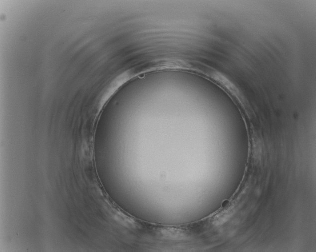 X0000062841097200601201632