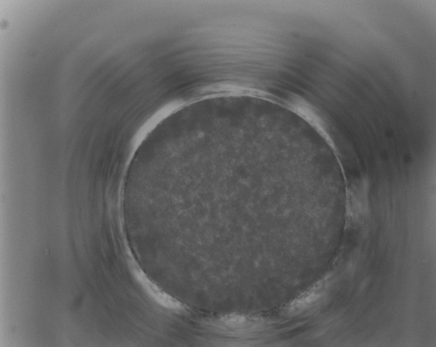 X0000062841098200601201632