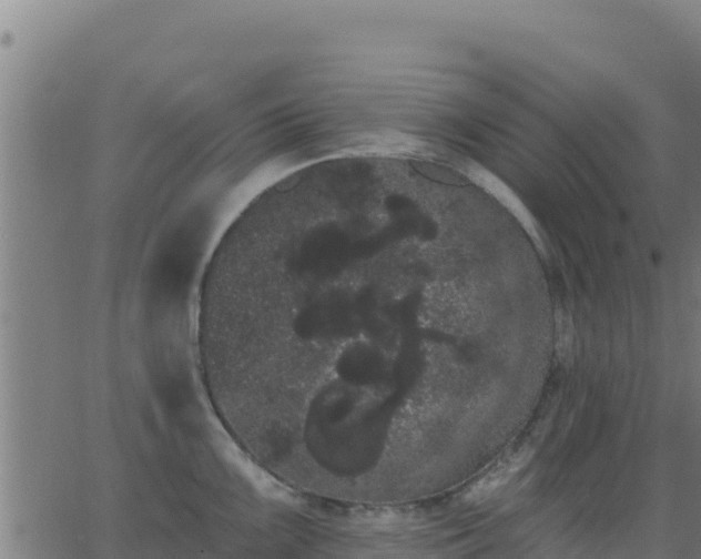 X0000062841099200601201632