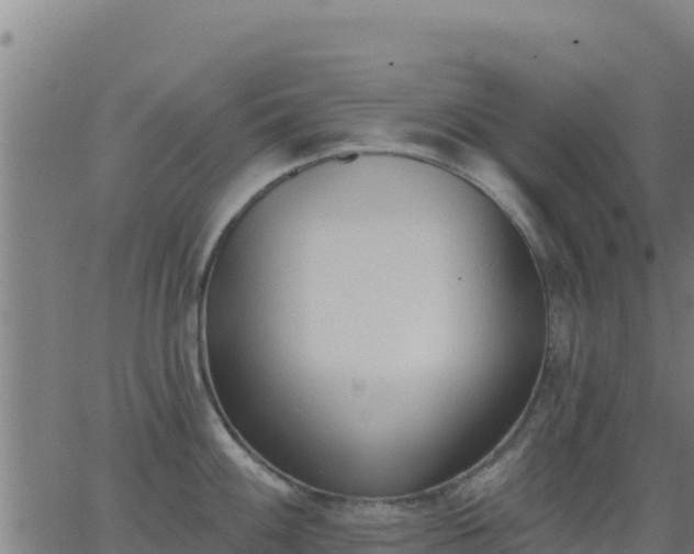 X0000062841100200601201631